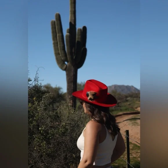 Red Wool Cowboy Hat – Western Felt Hat with feather hat pin  display picture 1